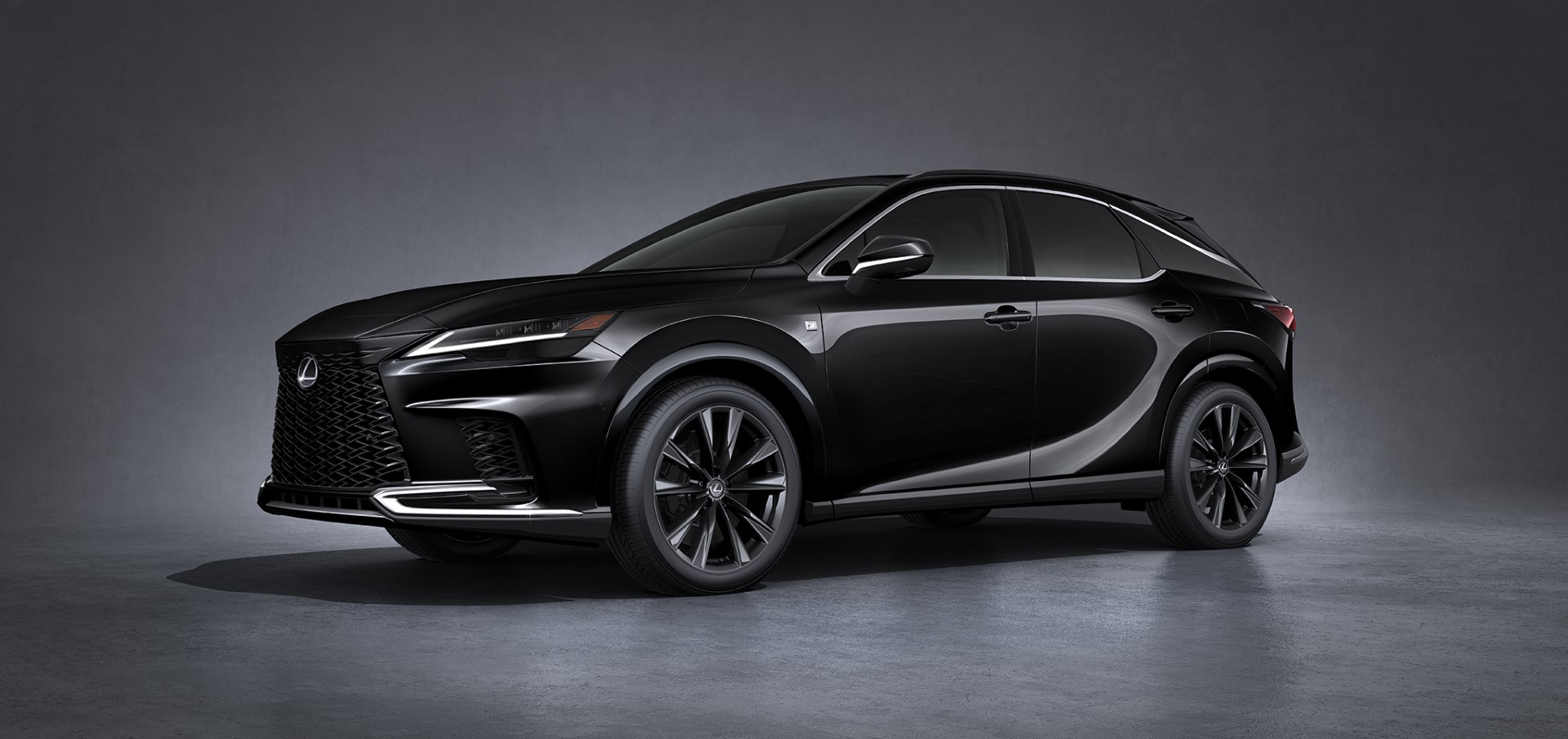 2023 Lexus RX black